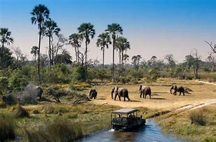 Book now! Botswana, Zimbabwe, zambia, Victoria Falls, namibia and Cape town-Explore the Okavango - about t  Botswana  