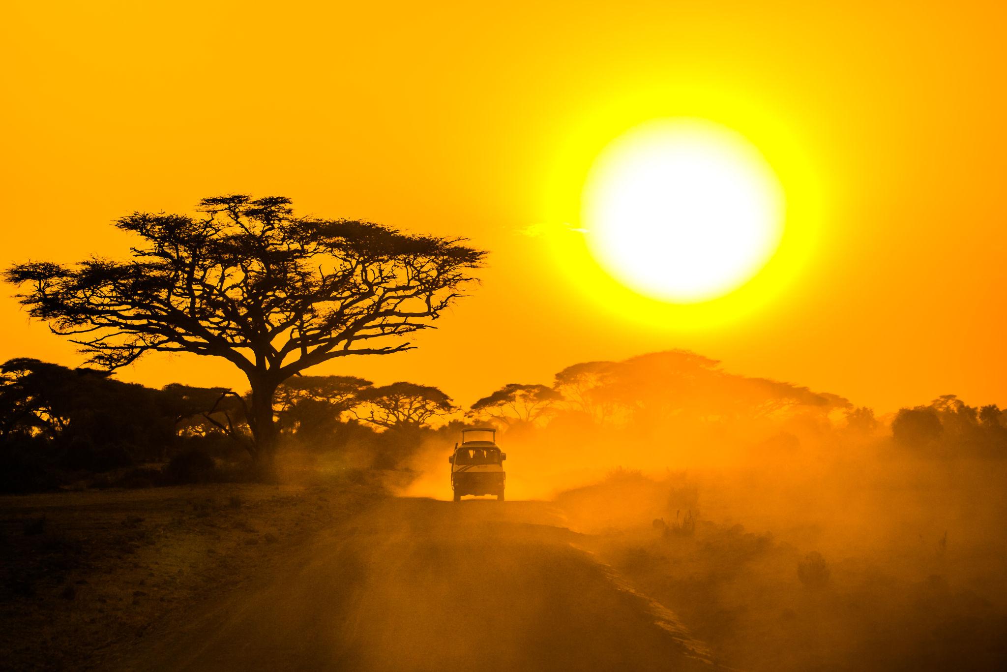 African safari sunset