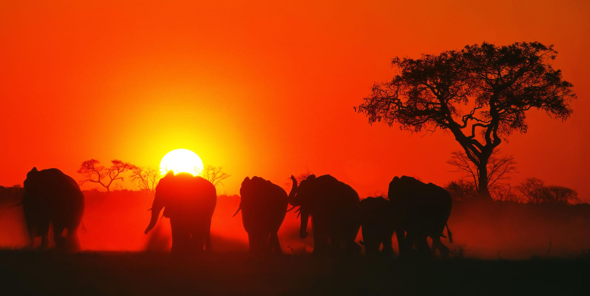 Pôr do sol em safári no Kruger